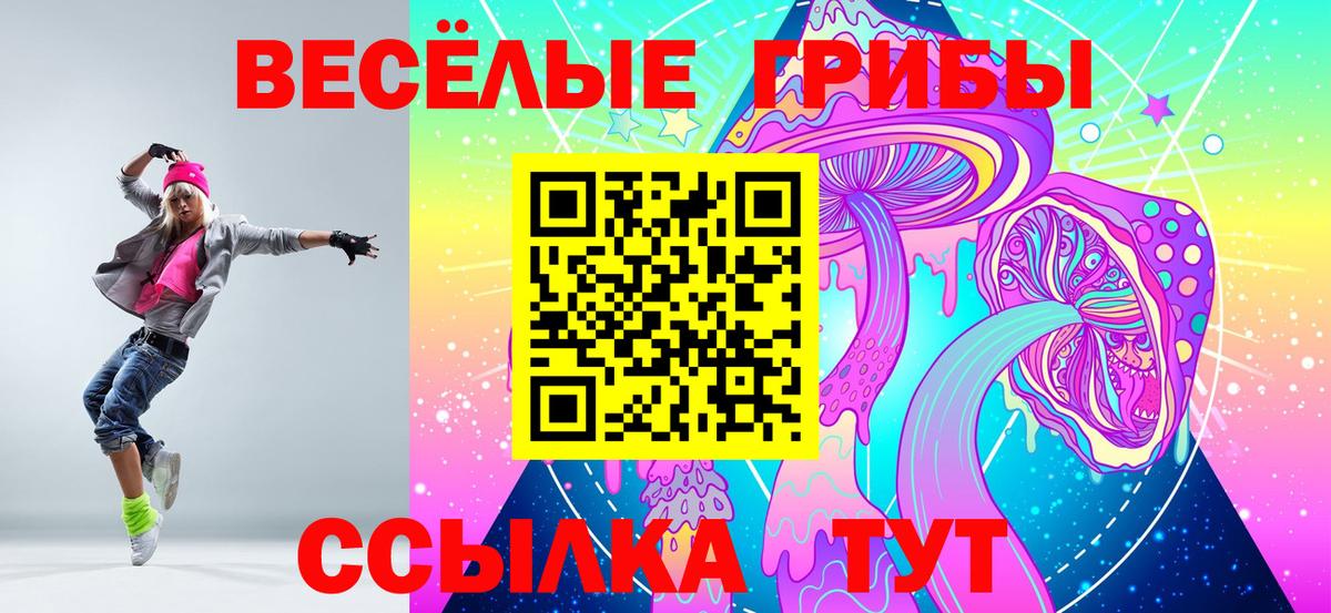 Галлюциногенные грибы Psilocybine cubensis  Галлюциногенные грибы Psilocybe  Грязи  Вход с VPN 