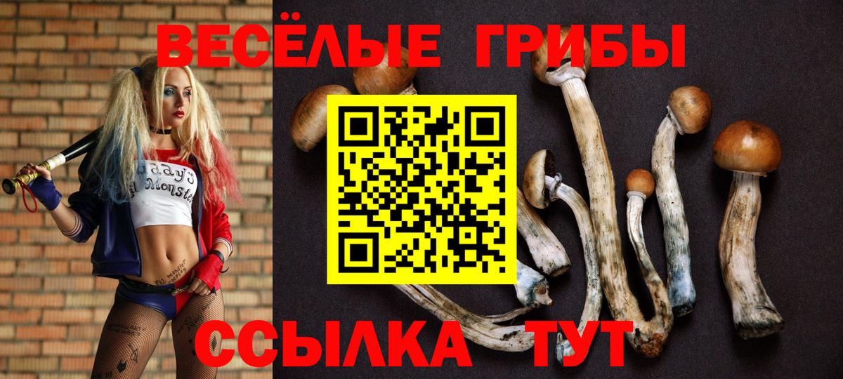 Псилоцибиновые грибы GOLDEN TEACHER Грязи