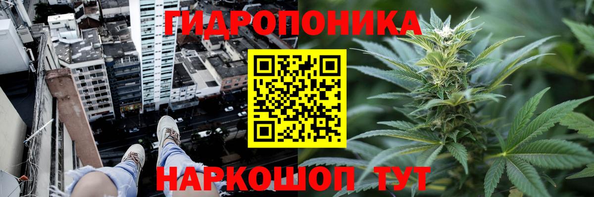 Марихуана White Widow  МАРИХУАНА Ganja  МАРИХУАНА сатива  Вход с VPN  Грязи  Шишки марихуана VHQ 
